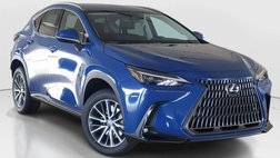 2025 Lexus NX 250 Base