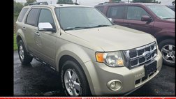 2010 Ford Escape XLT