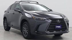 2025 Lexus NX 250 Base