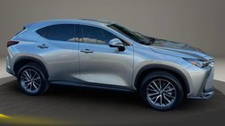 2025 Lexus NX 250 Base