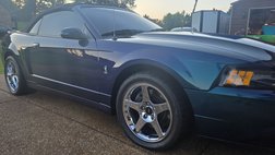 2004 Ford Mustang SVT Cobra Base