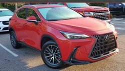 2024 Lexus NX 250 Premium