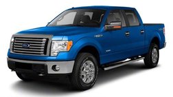 2010 Ford F-150 Harley-Davidson
