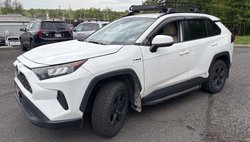 2019 Toyota RAV4 Hybrid LE
