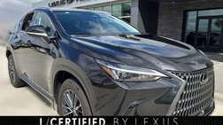 2025 Lexus NX 250 Premium