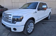 2013 Ford F-150 Platinum