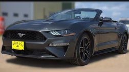 2019 Ford Mustang 