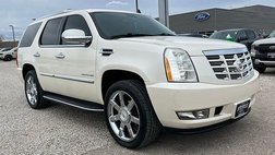2010 Cadillac Escalade Luxury