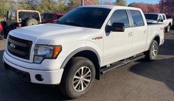 2013 Ford F-150 FX4