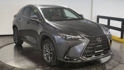 2024 Lexus NX 350h Premium
