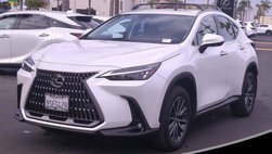 2025 Lexus NX 350h Premium