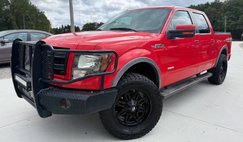 2013 Ford F-150 FX4