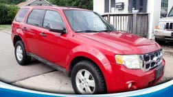 2010 Ford Escape XLT