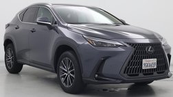 2024 Lexus NX 250 Base