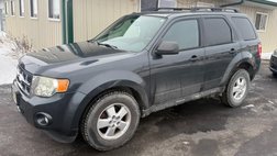 2009 Ford Escape XLT