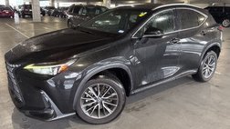 2023 Lexus NX 250 Premium