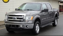 2014 Ford F-150 Platinum