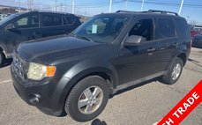2009 Ford Escape XLT