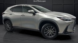 2024 Lexus NX 350h Premium