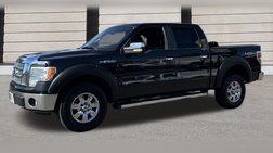 2010 Ford F-150 Platinum