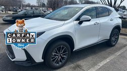 2025 Lexus NX 250 Base