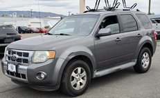 2010 Ford Escape Limited