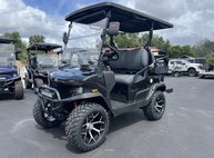 2025 Other Makes LSV