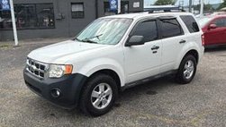 2010 Ford Escape XLT