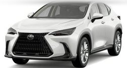 2024 Lexus NX 350h Luxury