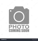 2018 Ford EcoSport SES