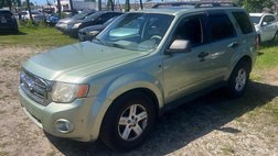 2008 Ford Escape XLT