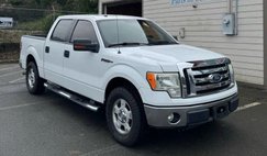 2010 Ford F-150 XLT