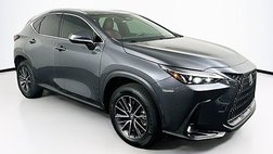 2024 Lexus NX 250 Premium