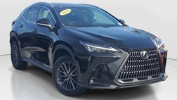 2024 Lexus NX 250 Premium