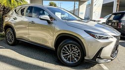 2024 Lexus NX 350 Base