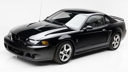 2003 Ford Mustang SVT Cobra Cobra