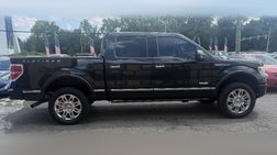 2013 Ford F-150 Platinum