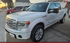 2013 Ford F-150 Platinum
