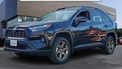 2024 Toyota RAV4 Hybrid Woodland Edition