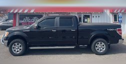 2010 Ford F-150 Platinum