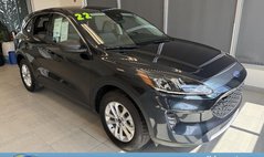 2022 Ford Escape Hybrid SE