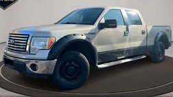 2010 Ford F-150 XLT