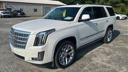 2018 Cadillac Escalade Premium Luxury