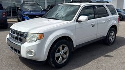 2010 Ford Escape Limited