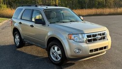 2011 Ford Escape XLT
