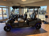 2025 Other Makes 4 PERSON