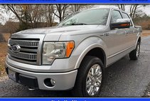 2010 Ford F-150 Platinum