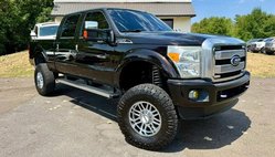 2013 Ford Super Duty F-250 Platinum