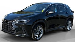 2025 Lexus NX 350 Luxury