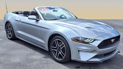 2022 Ford Mustang EcoBoost